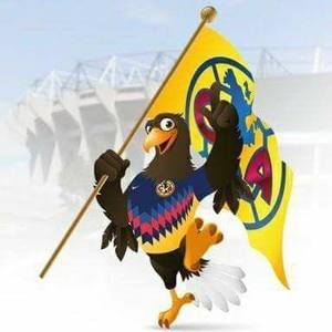 Meet your Posher, Hector